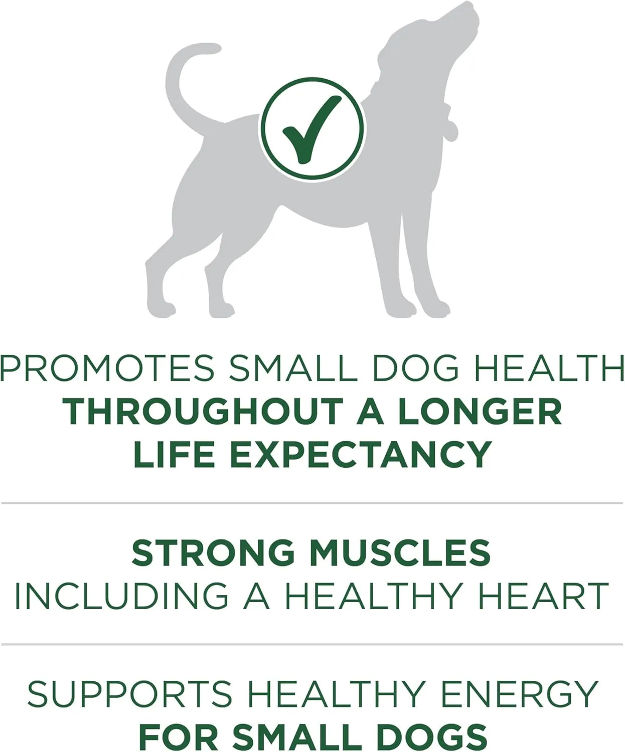 Purina ONE Plus Small Breed Lamb and Rice Formula Dry Dog Food - 7.4 lb. Bag