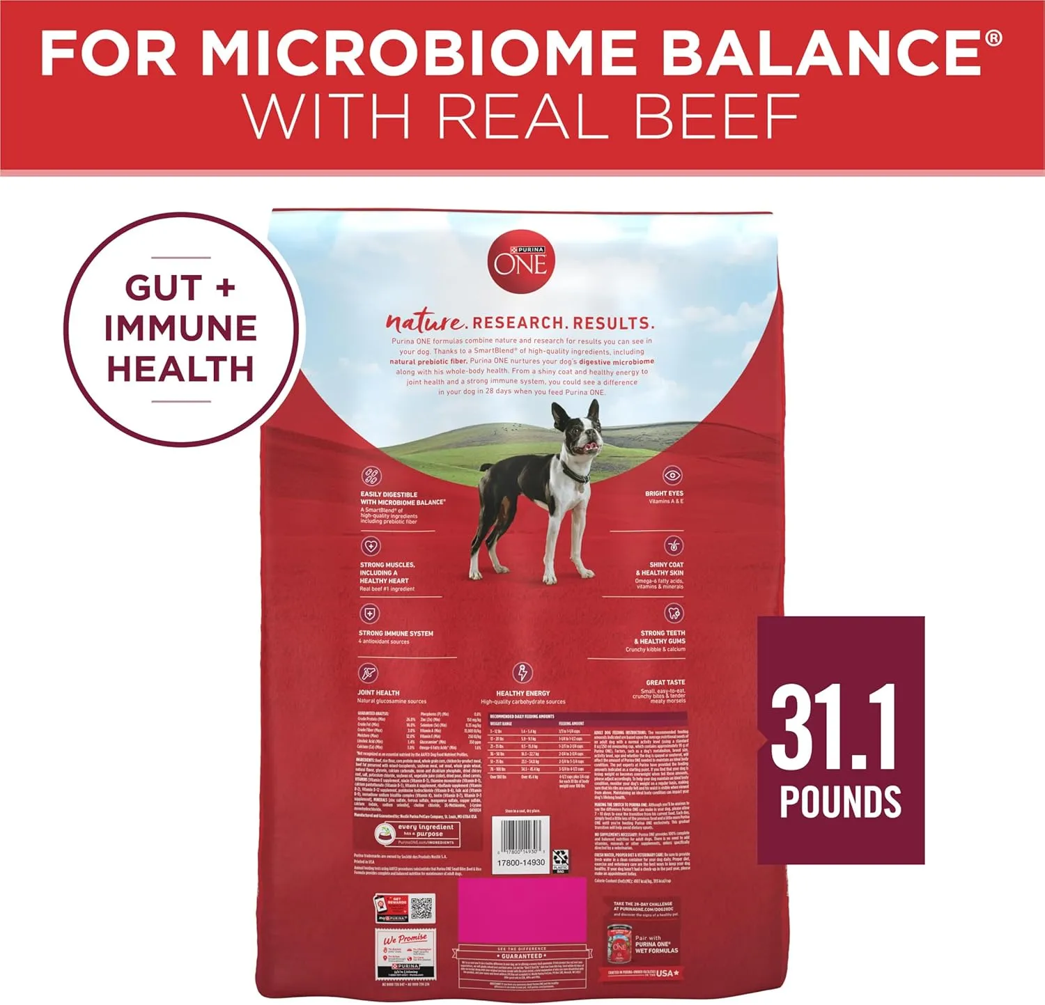 Purina ONE Small Bites Beef and Rice Formula Small High Protein Dry Dog Food Natural with Added Vitamins, Minerals and Nutrients - 31.1 lb. Bag