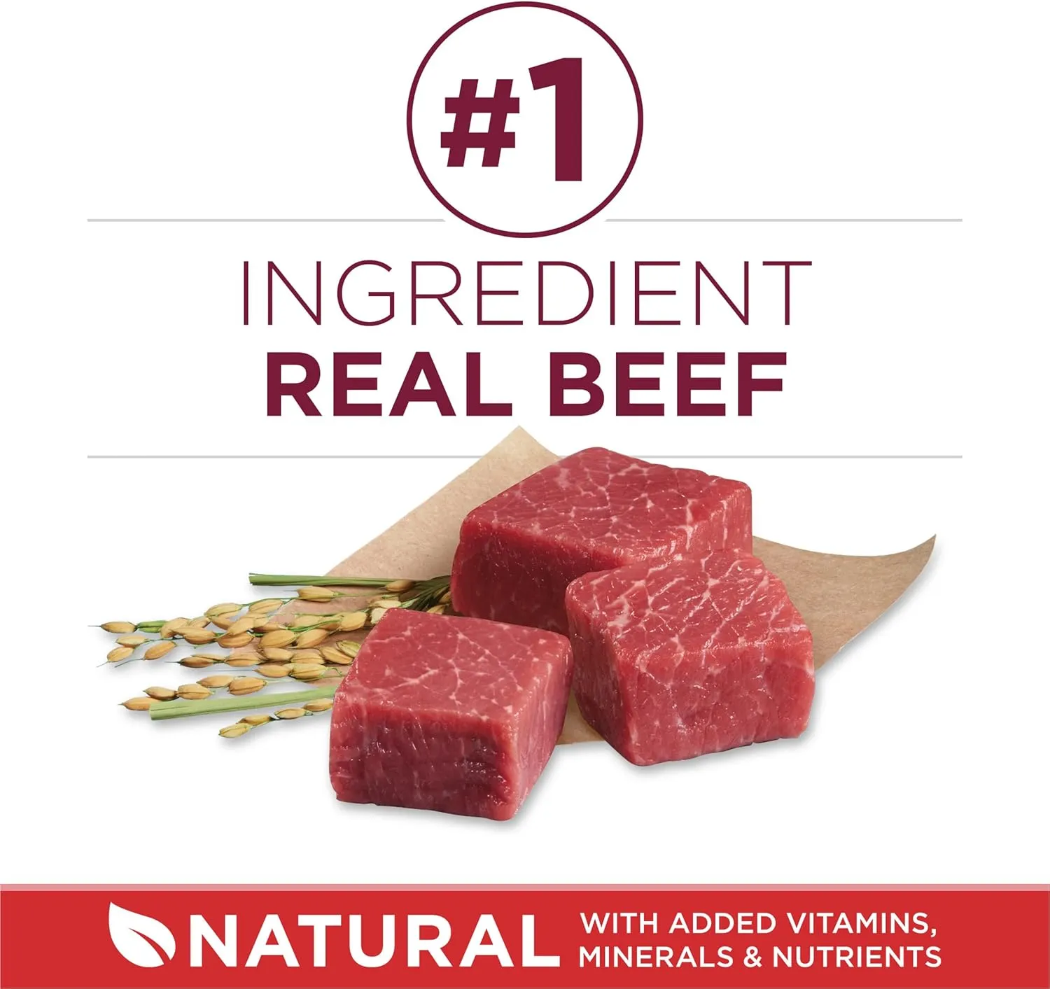 Purina ONE Small Bites Beef and Rice Formula Small High Protein Dry Dog Food Natural with Added Vitamins, Minerals and Nutrients - 31.1 lb. Bag