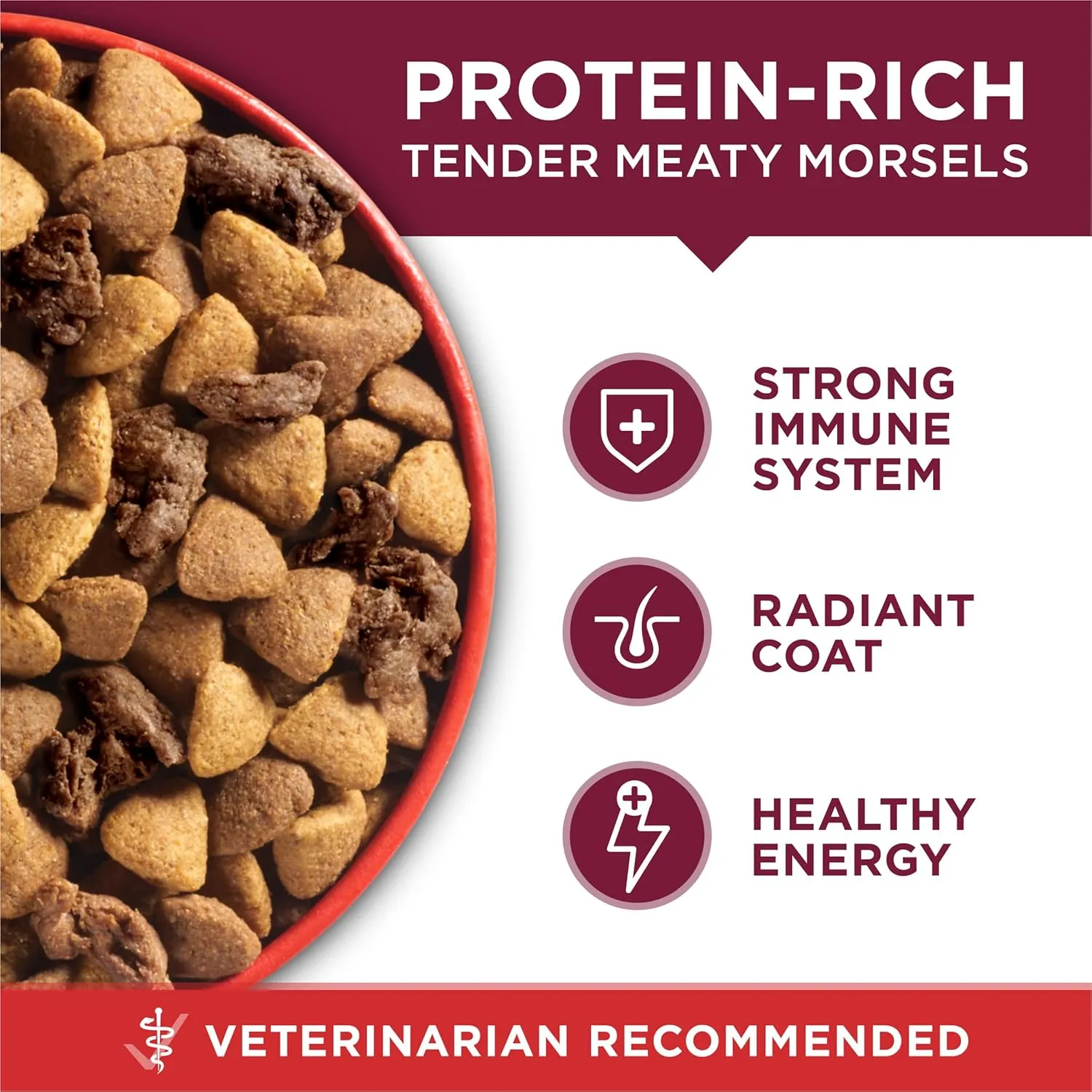 Purina ONE Small Bites Beef and Rice Formula Small High Protein Dry Dog Food Natural With Added Vitamins, Minerals and Nutrients - 8 lb. Bag