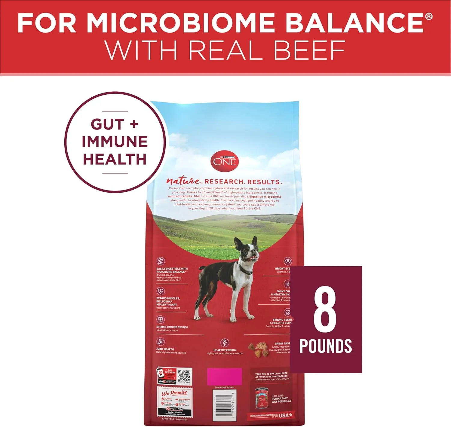 Purina ONE Small Bites Beef and Rice Formula Small High Protein Dry Dog Food Natural With Added Vitamins, Minerals and Nutrients - 8 lb. Bag