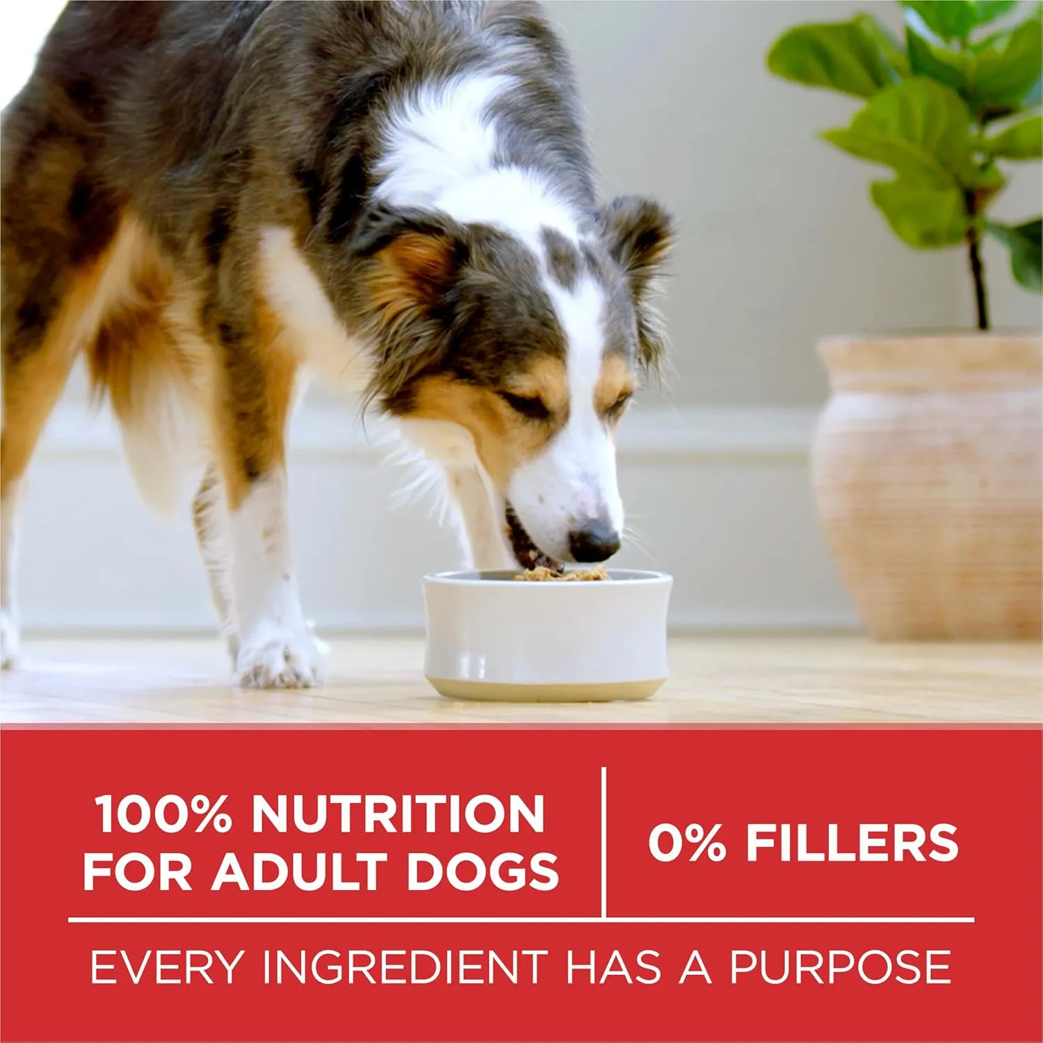 Purina ONE Small Bites Beef and Rice Formula Small High Protein Dry Dog Food Natural With Added Vitamins, Minerals and Nutrients - 8 lb. Bag