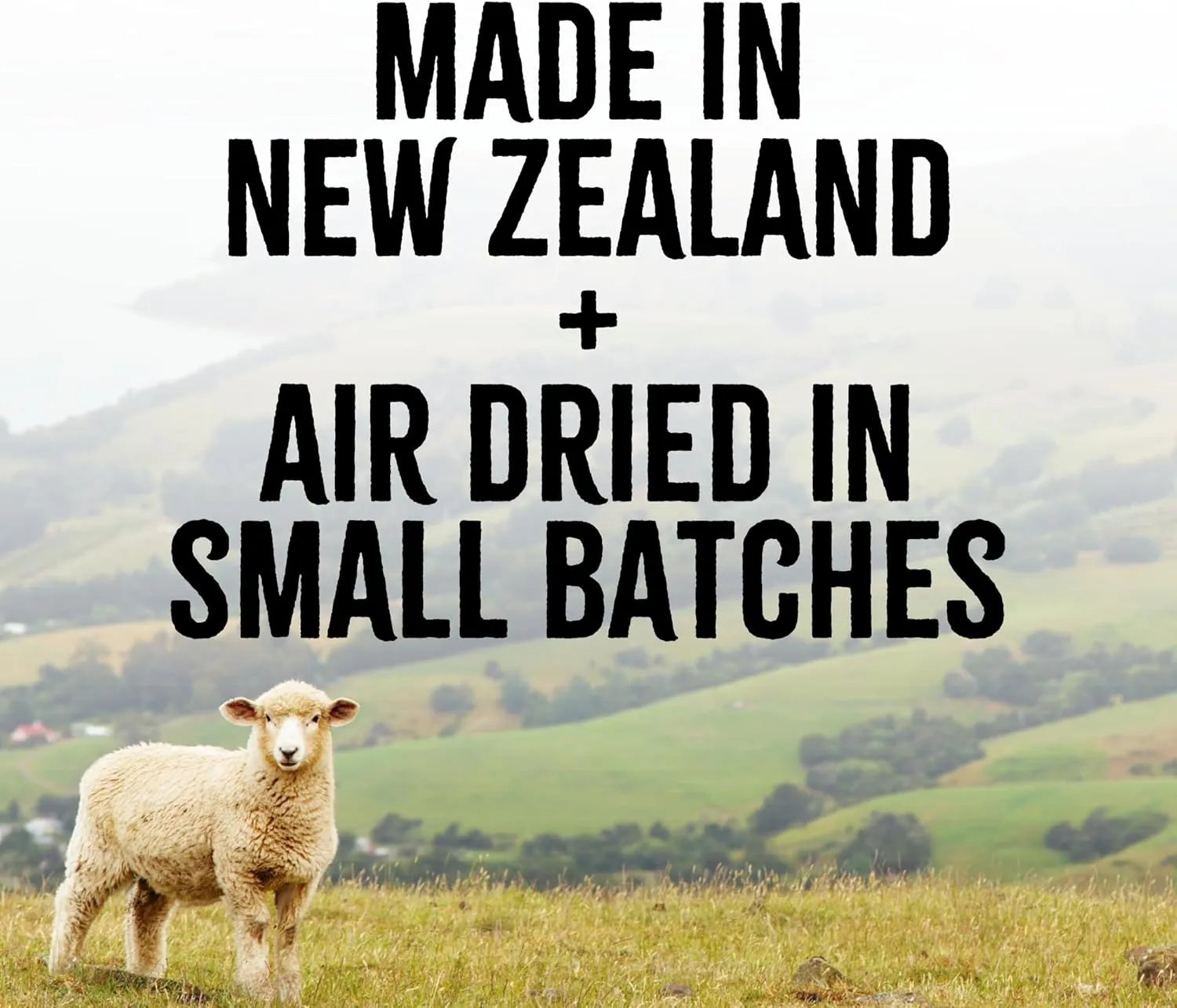 RawTernative Air Dried Dog Food, High Protein, Over 90% Real Lamb, Organs, & Venison   New Zealand Green Mussels, Complete Meal or Topper, Grain Free, Gluten Free, Non GMO, (5 oz Bag)