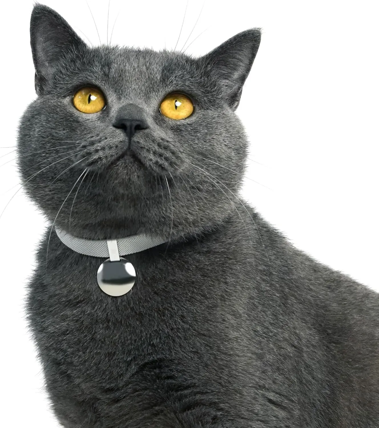 Safety Cat Collar - Gem Tag Set, Quick Release, Non Breakaway, Elastic, Light Weight with Charm (Glacier Silver)