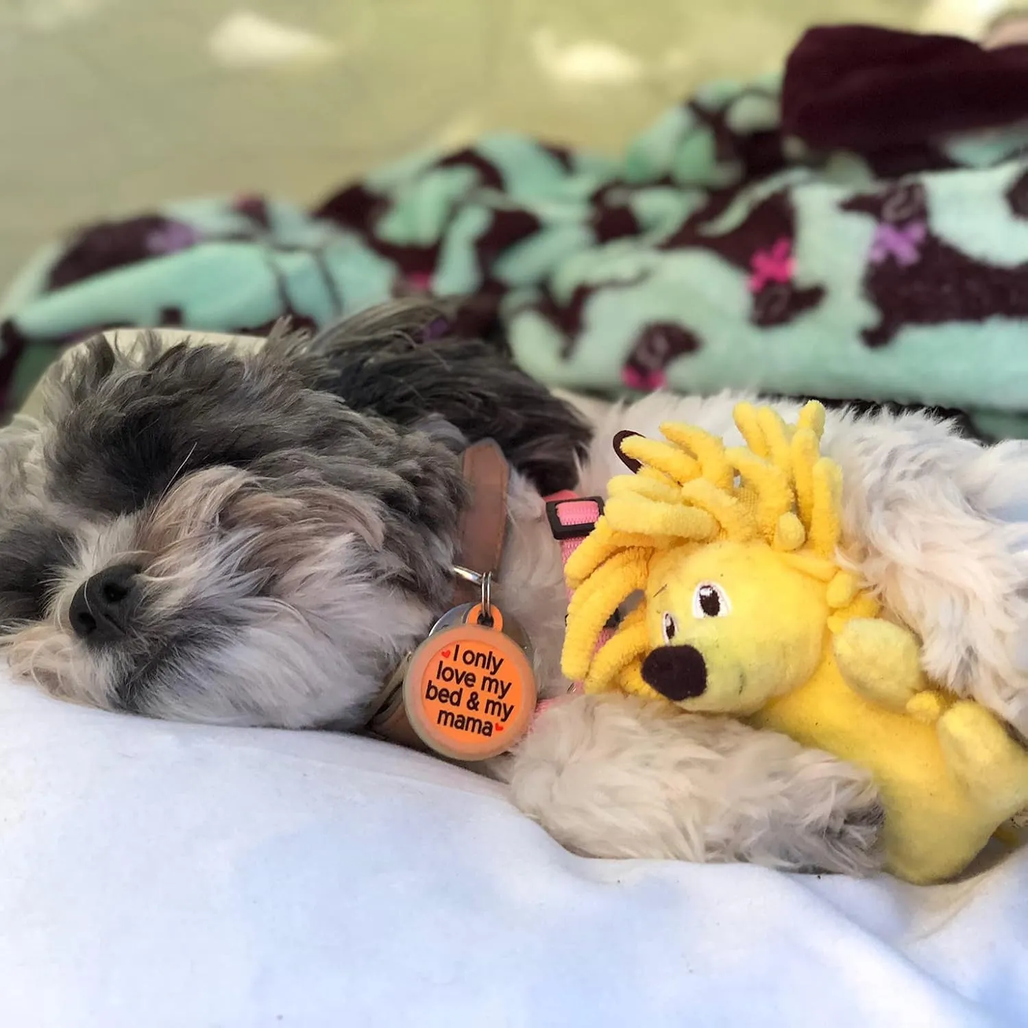 Snuggle Puppy Tender-Tuffs Tiny - Yellow Hedgehog Stuffed Plush Dog Toy with Squeaker - Small Breed Stuffed Cuddly Soft Toy