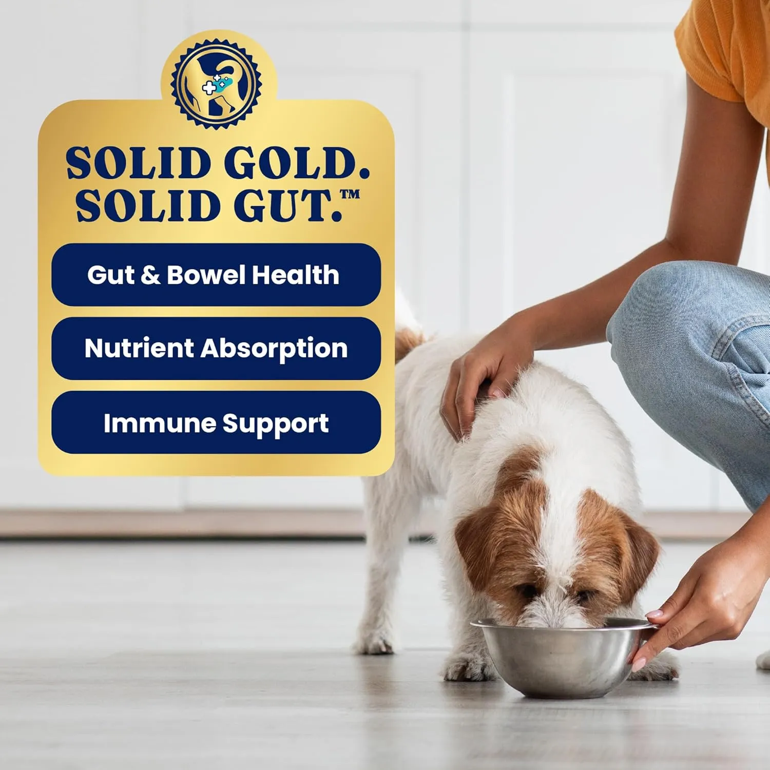 Solid Gold Wet Dog Food for Small Dogs - Mighty Mini Grain Free Wet Dog Food Made with Real Lamb - for Puppies, Adult & Senior Small Breeds with Sensitive Stomachs