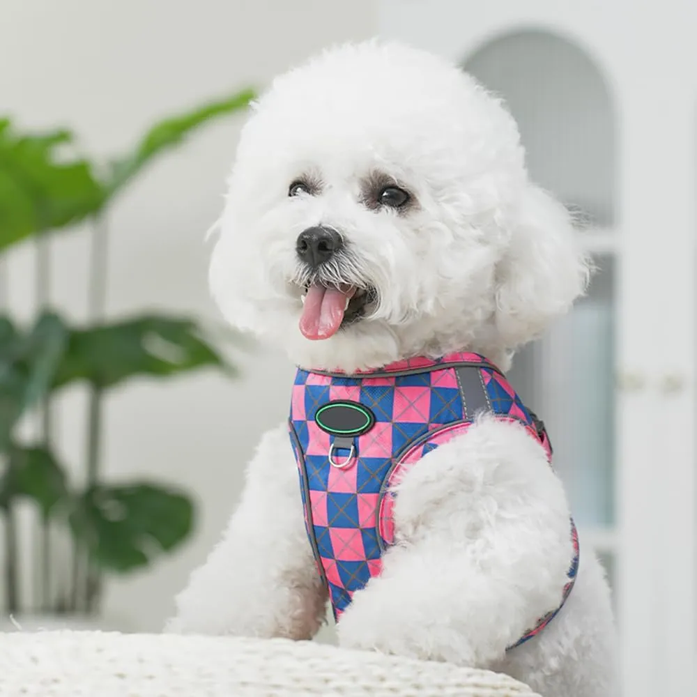 Step in Dog Harness and Leash Set, Plaid Adjustable Easy Walk Puppy Harnesses, Soft Mesh Pet Vest Harness Small Size Dog Adjustable No Pull Dog Harness for Small Medium Dogs(Blue Pink, XS)