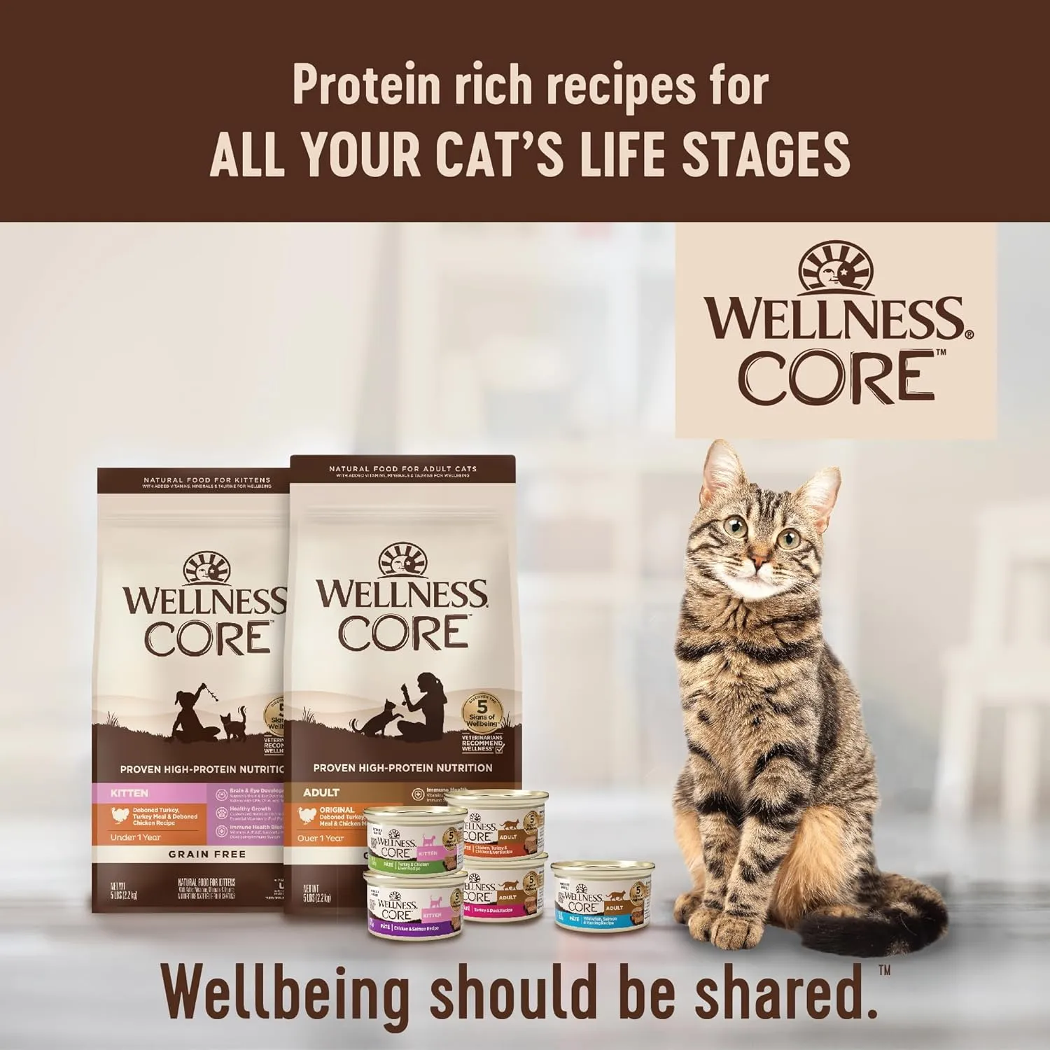 Wellness CORE Natural Grain-Free High Protein Adult Dry Cat Food Recipe, Turkey, Turkey Meal and Duck Formula, 5 Pound Bag