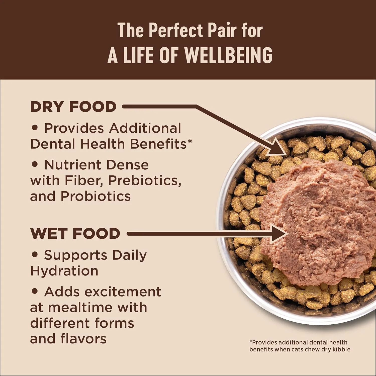Wellness CORE Natural Grain-Free High Protein Adult Dry Cat Food Recipe, Turkey, Turkey Meal and Duck Formula, 5 Pound Bag
