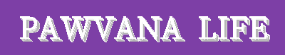 Pawvana Life | Grooming, Lifestyle & Wellness Essentials for Happy Pets